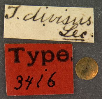 Media type: image;   Entomology 3416 Aspect: labels